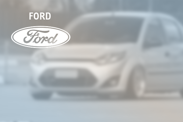 terminaisCabos-ford